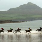 View "A Race Against the Tide- Dingle, Ireland"